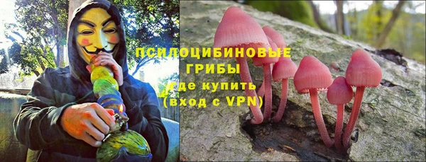 героин Алексин