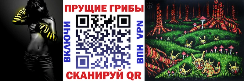 Галлюциногенные грибы прущие грибы  OMG как войти  Тавда  цена  